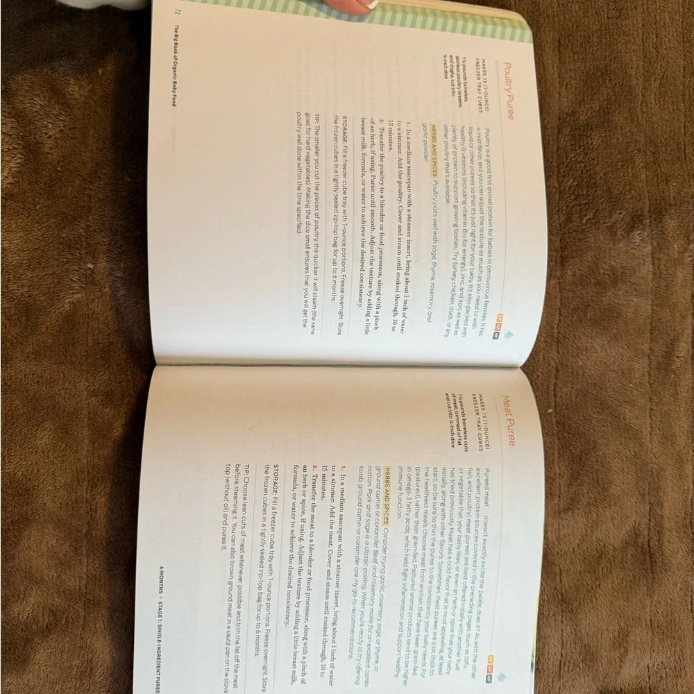 The Big Book of Organic Baby Food by Stephanie Middleberg - Picture 6 of 7